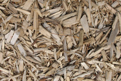 biomass boilers Minto Kames